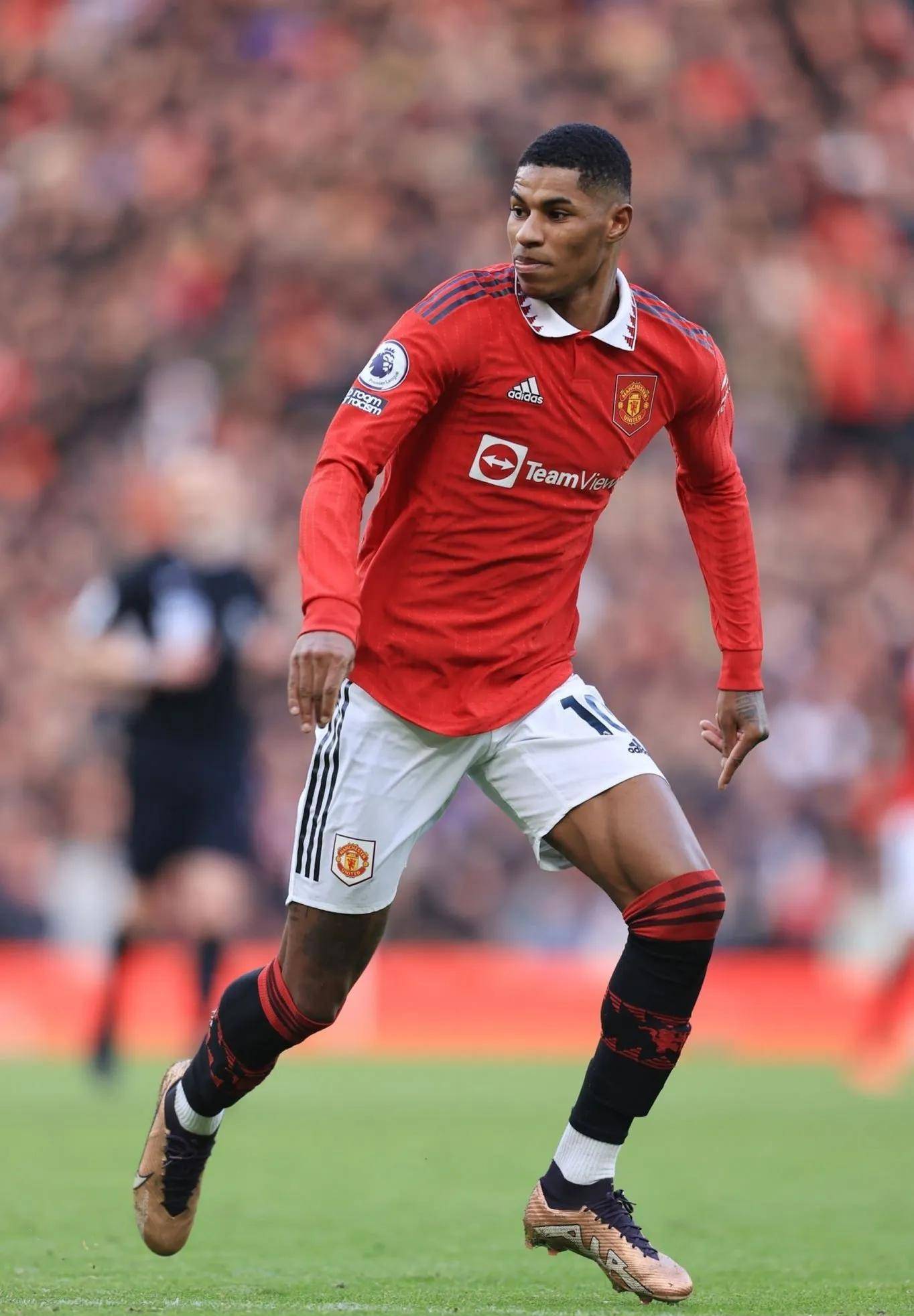 眼花缭乱的 眼花缭乱的